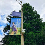 University of Washington pole banners 2022, completed by SuperGraphics.