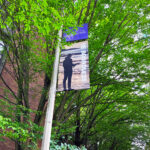 University of Washington pole banners 2022, completed by SuperGraphics.