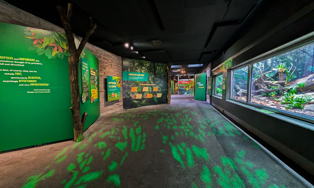 Exhibit signage featuring reptiles and amphibians with vibrant colors and educational content at Woodland Park Zoo in Seattle.