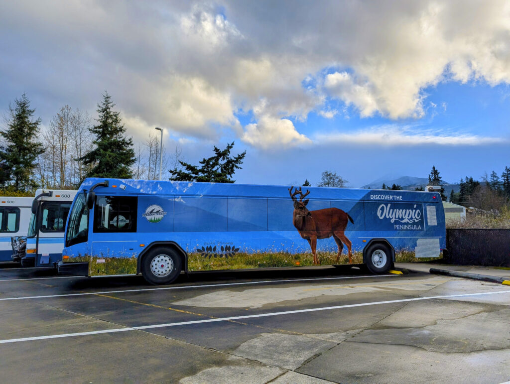 A Clallam Transit bus featuring a full-wrap design promoting the Olympic Peninsula. The vibrant bus graphic showcases lush landscapes and natural scenery, highlighting outdoor tourism in the Pacific Northwest.