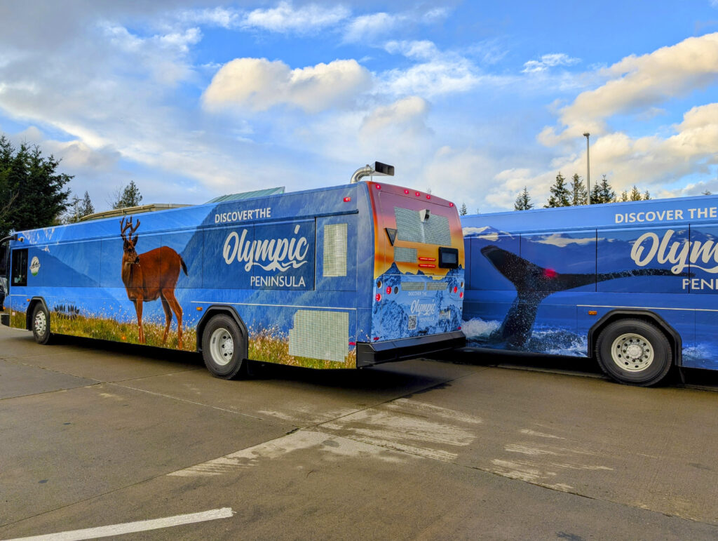 Clallam Transit public bus wrap featuring large format graphics of a deer, whale, and a sunset to promote the Olympic Peninsula.