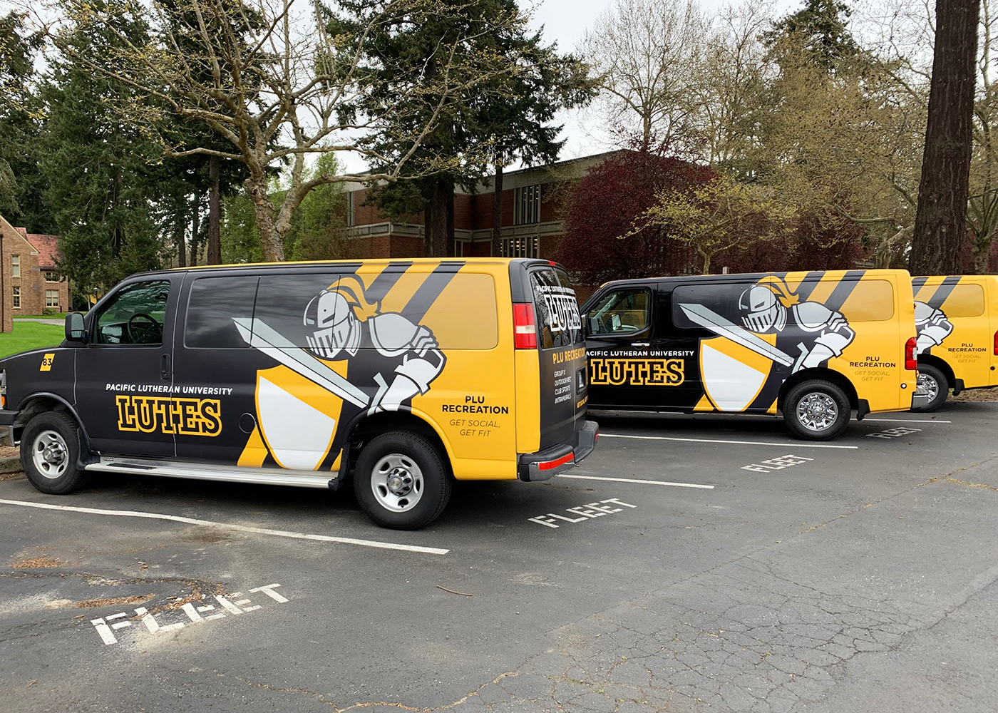Pacific Lutheran University (PLU) fleet vans with full vinyl wraps featuring the Lutes mascot, black and yellow colors, and PLU Recreation branding.