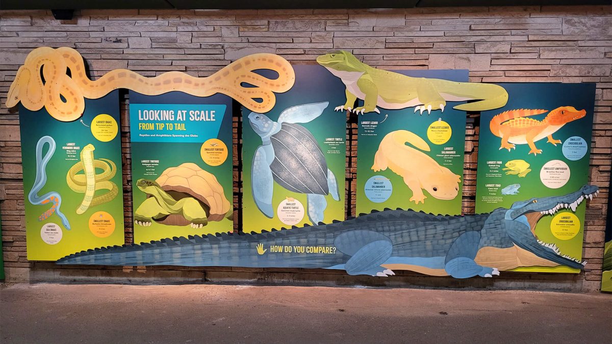 Informational signage for Woodland Park Zoo, completed by SuperGraphics. Showcases large to-scale display of various reptiles at the zoo.