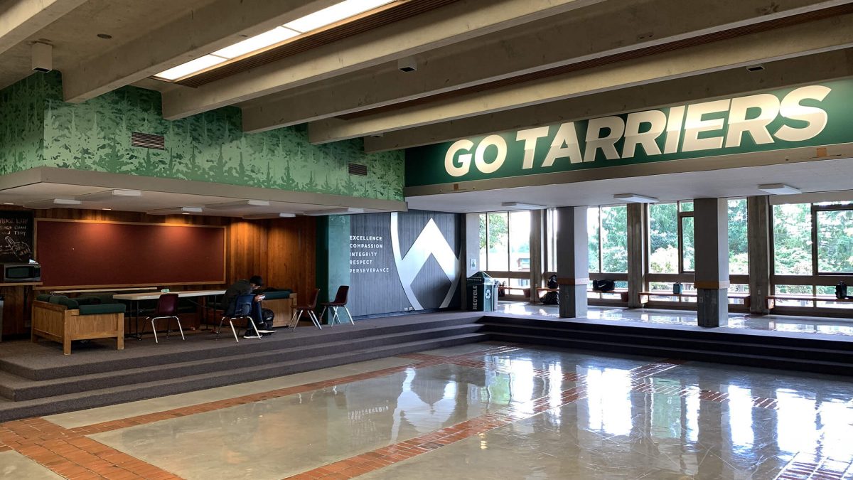 Charles Wright Academy lounge wall graphics, produced and installed by SuperGraphics. Showcases forest mural and "Go Tarriers" dimensional lettering.