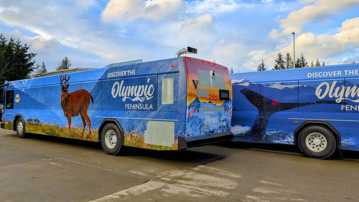 Clallam Transit Bus Fleet Wraps, completed by SuperGraphics.