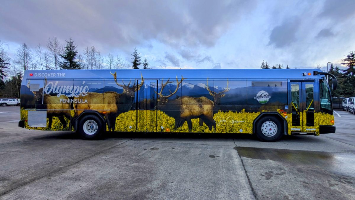A Clallam Transit bus wrapped in a visually stunning design showcasing the Olympic Peninsula. The full-color graphic highlights the region's natural beauty and diverse landscapes, emphasizing outdoor recreation and tourism