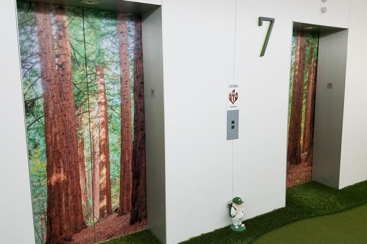 Elevator doors wrapped with a forest graphic featuring tall redwood trees, with artificial turf flooring leading up to the entrances.
