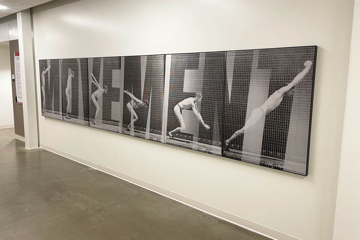 Black-and-white multi-panel artwork showing a sequence of a diver in motion against a patterned background.