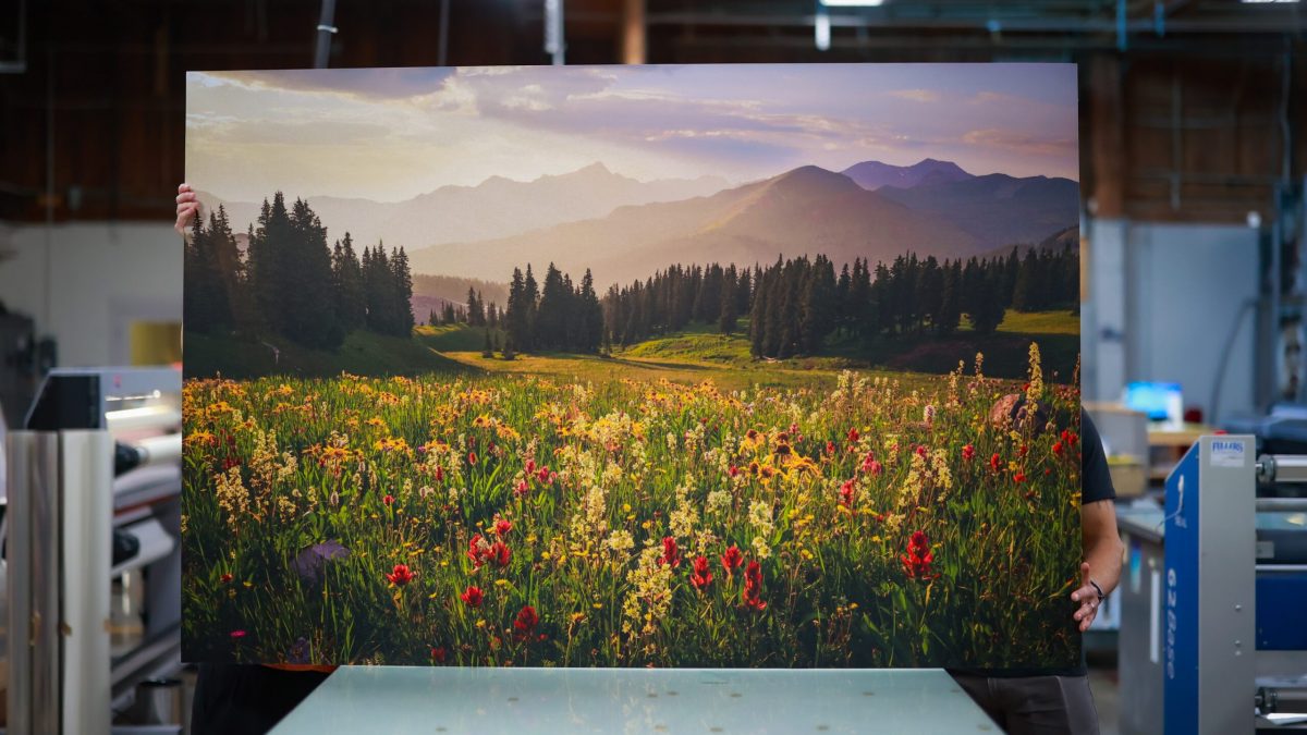 Fine art print of field of flowers with mountain in the background, printed by SuperGraphics.