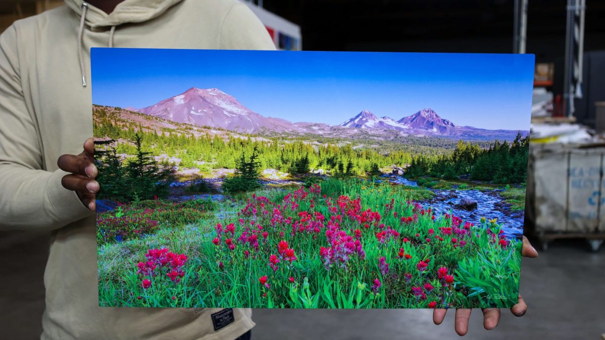 Photo of fine art print showcasing photography of flower field with mountain background. Fine art printing completed by SuperGraphics.