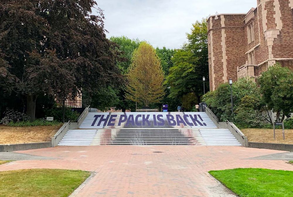 University of Washington back-to-school outdoor stair risers, produced and installed by SuperGraphics. Includes husky ears and messaging, "The pack is back!"