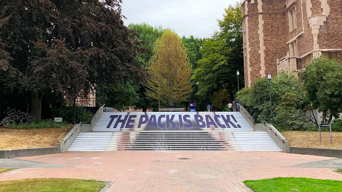 University of Washington back-to-school outdoor stair risers, produced and installed by SuperGraphics. Includes husky ears and messaging, "The pack is back!"