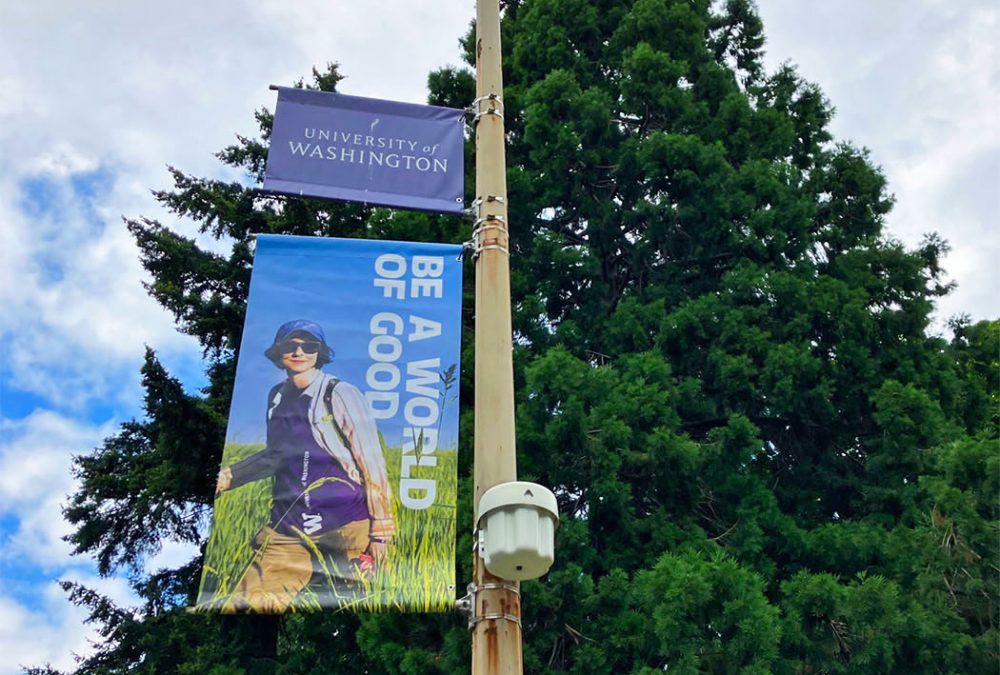 University of Washington pole banners 2022, completed by SuperGraphics.