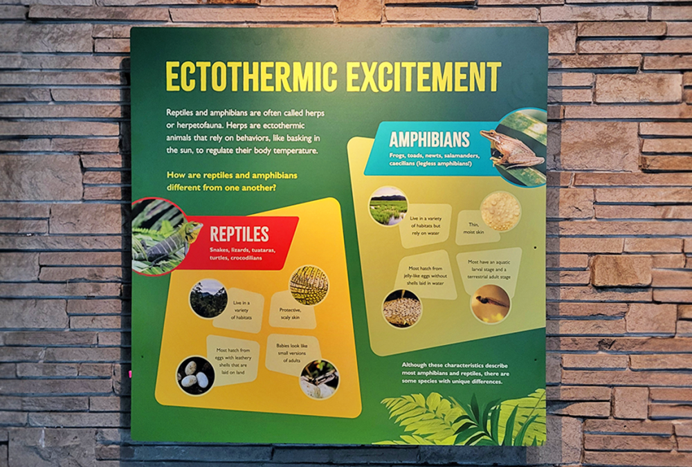 Exhibit signage featuring reptiles and amphibians with vibrant colors and educational content at Woodland Park Zoo in Seattle.